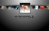 Animale