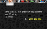 Slide242