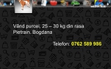 Slide243