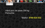 Slide248