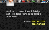 Slide250