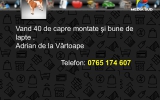 Slide262