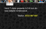 Slide280