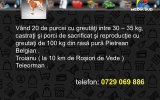 Slide287