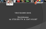 Slide243