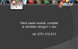 Slide244