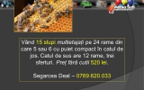 Slide249