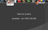 Slide250