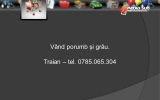 Slide252