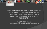 Slide254
