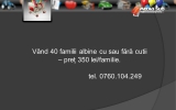 Slide257