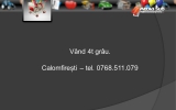 Slide269