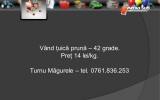 Slide274