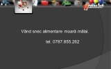 Slide281