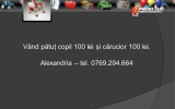 Slide296