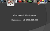 Slide304