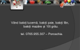 Slide306