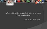 Slide307