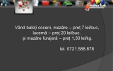 Slide311