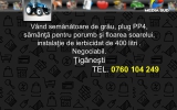 Slide217