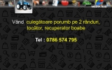 Slide237