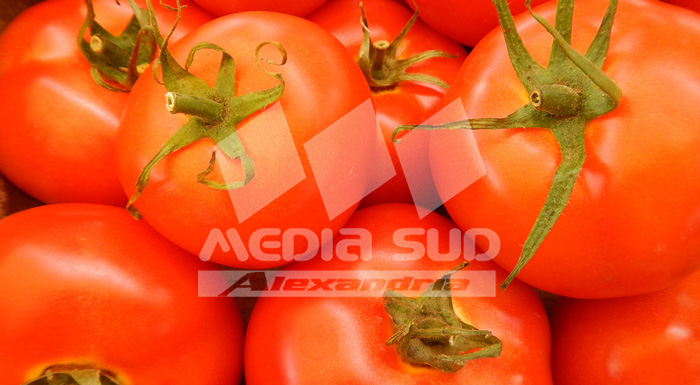 Tomate