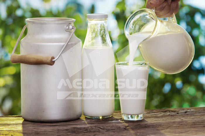 Producatori de lapte