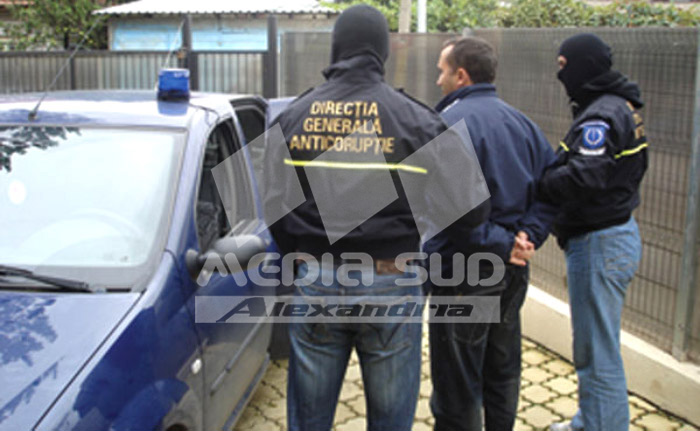 dare de mita, politist, post rural, ipj teleorman, dga, sja, parchet, dosar penal