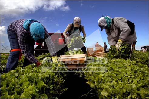 Munca in agricultura