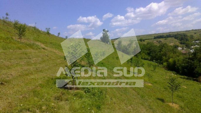 27000 ha