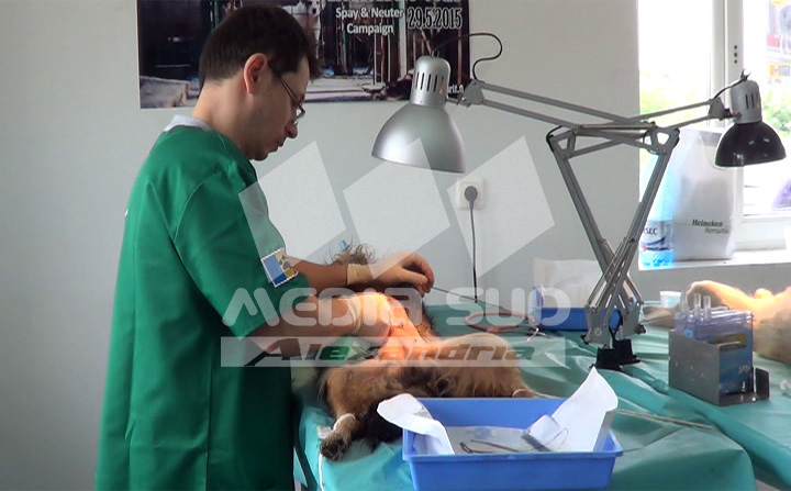 Campania sterilizare