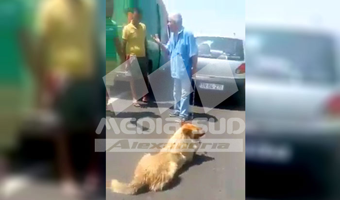 Pensionarul care si-a legat cainele de masina
