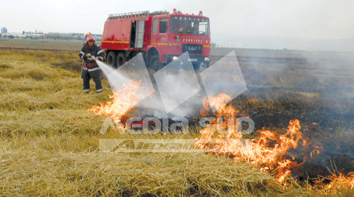 Incendiu Islaz