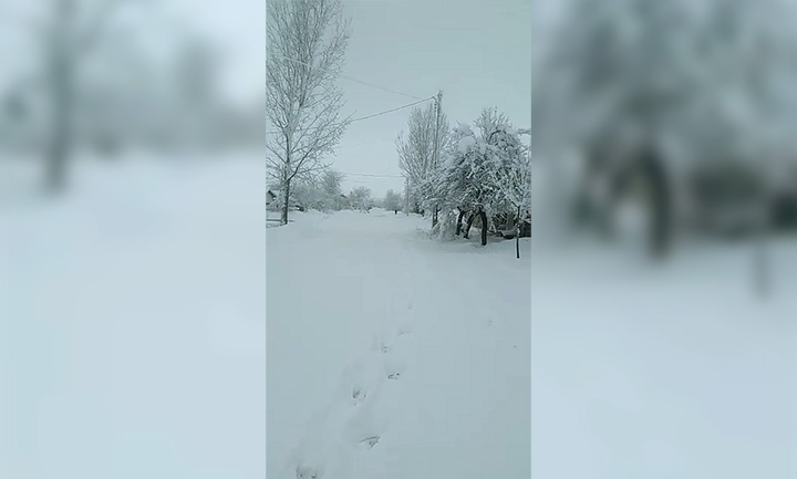 Drum inzapezit Brinceni