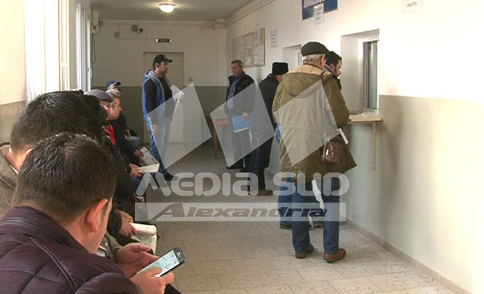 serviciul spcia, numar redus, permise, inmatriculeaza, vehicule, programari online