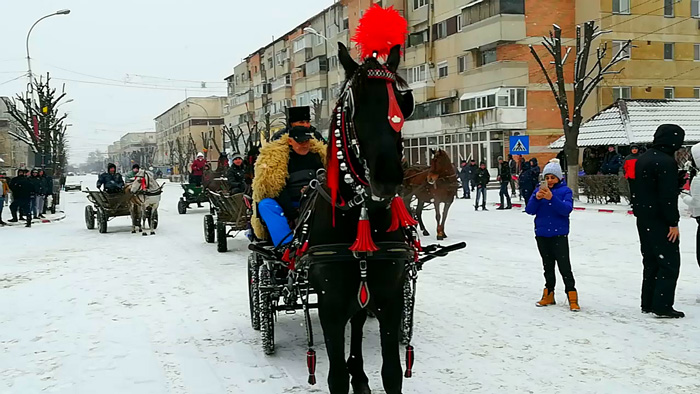 Botezul cailor