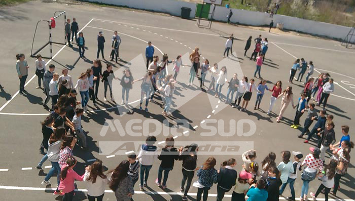 Proiect Erasmus+