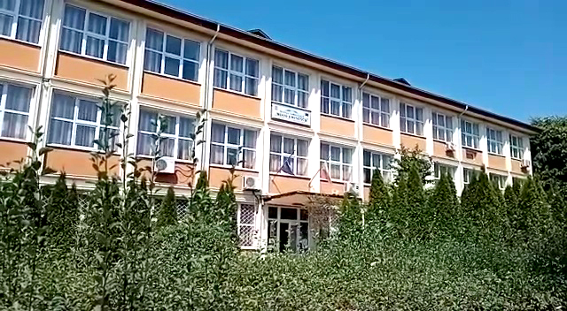 Scoala Mihai Eminescu Rosiorii de vede