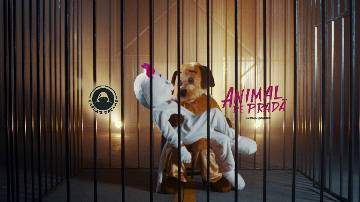 Animal de prada