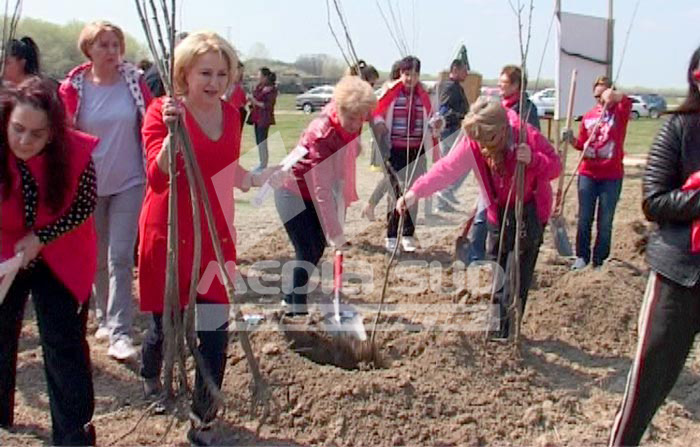 Viorica Dăncilă