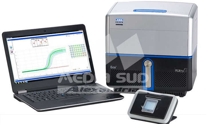 PCR Real-Time
