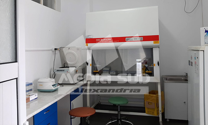 Aparat Real Time PCR